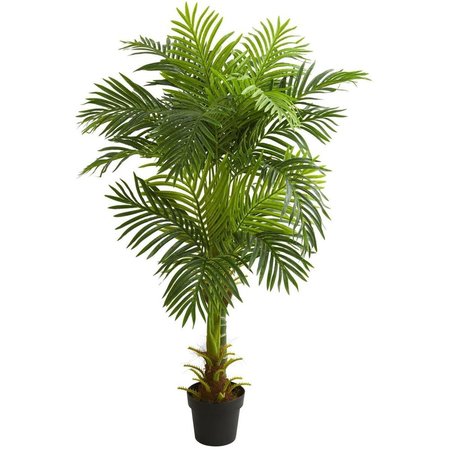 NEARLY NATURALS 5 ft. Double Stalk Hawaii Palm Artificial Tree 5591